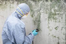 Mold Removal for HVAC Installations in Soulsbyville, CA